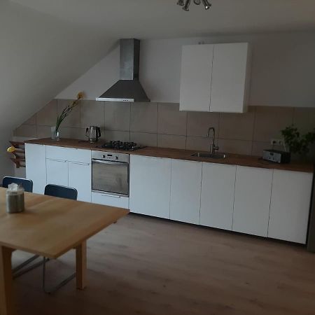 Apartman Dvorak 194 Pod Svatou Horou Příbram Buitenkant foto