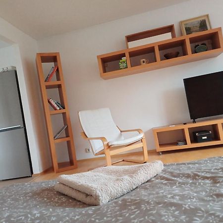 Apartman Dvorak 194 Pod Svatou Horou Příbram Buitenkant foto