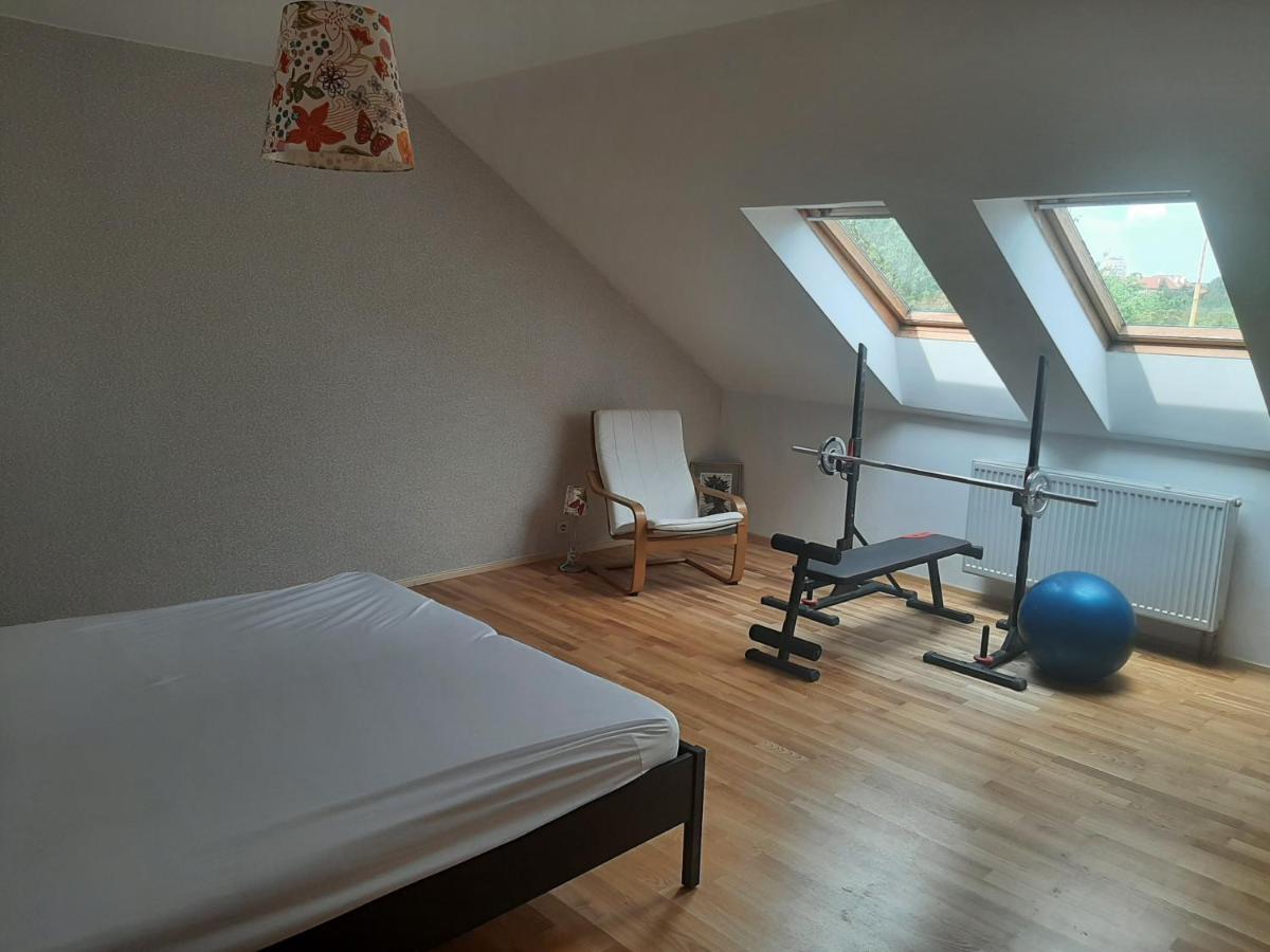 Apartman Dvorak 194 Pod Svatou Horou Příbram Buitenkant foto